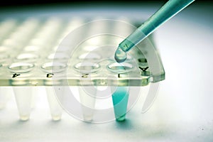 Stem Cell Research Pipette photo