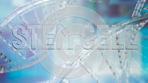 The  stem cell text on dna background for sci or medical concept 3d rendering