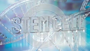The  stem cell text on dna background for sci or medical concept 3d rendering