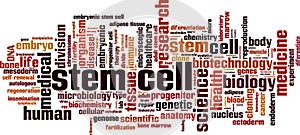 Stem cell word cloud