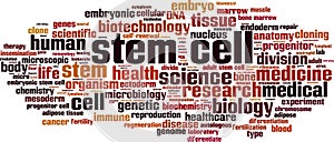 Stem cell word cloud