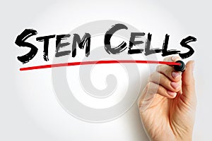 Stem Cells - special human cells that are able to develop into many different cell types, medical text concept for presentations