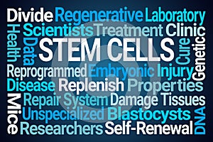 Stem Cells Word Cloud