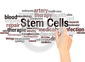 Stem cells word cloud hand writing concept