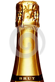 Stem of a Champagne bottle