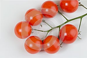 Stem of cherry tomatoes