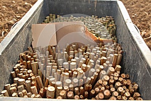 Stem Cuttings for Agroforestry