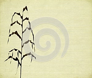 Stem and leaf background