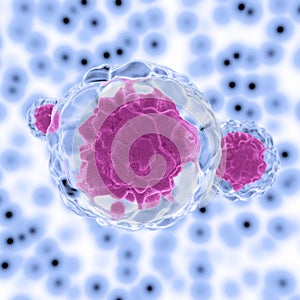 Stemcell under microscope