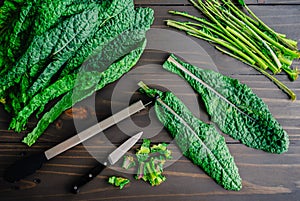Stemming Lacinato Kale Leaves Using a Pair of Tongs photo