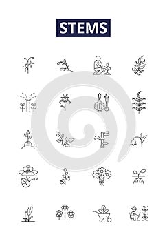 Stems line vector icons and signs. Culm, Pedicel, Culms, Stipes, Stemmed, Petiole, Peduncle, Shoot outline vector photo