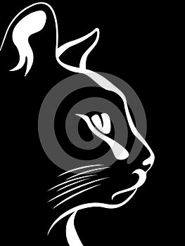 Stencil of a cat`s muzzle
