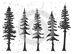 Stencil forest pine trees woodland