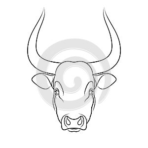 Stencil of stylized bull outline on white background