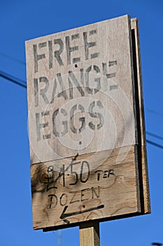 Stencilled Free Range Eggs Sale Board, Norwich, England, UK