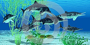 Stenopterygius Icthyosaur