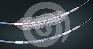 Stent and catheter for implantation and supporting blood circulation into blood vessels with an empty and filled balloon