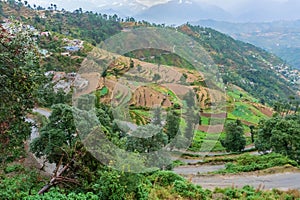 Step agriculture, or terrace agriculture. Steep hills or mountainsides are cut to form level areas for planting of crops. Foggy,