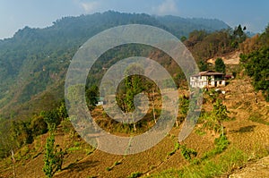 Step agriculture, or terrace agriculture, is a system where steep hills or mountainsides are cut to form level areas of arable