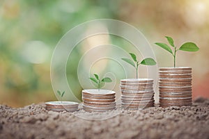 Step of coins stacking and tree growing top on soil, saving money concept, home, loan, education and plan for future
