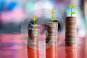 Step of coins stacks, money, saving and investment or family planning concept, motion blured background.