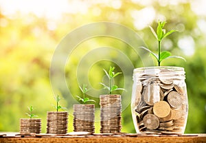 Step of coins stacks with tree growing on top, nature background, money, saving and investment or family planning concept, over su