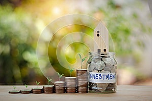 Step of coins stacks with tree are growing on coins, bokeh background, money, saving and investment.