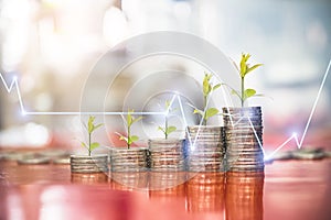Step of coins stacks with tree growing on top, nature background, money, saving and investment.