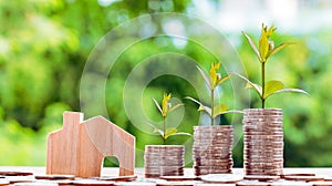 Step of coins stacks with tree growing on top, nature background, money, saving and investment or family planning concept, over su