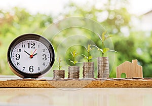 Step of coins stacks with tree growing on top, nature background, money, saving and investment or family planning concept, over su