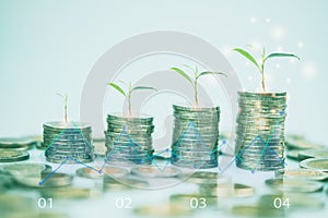 Step of coins stacks with a tree growing on top with stock market or forex trading graph, money