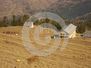 Step Farming, Himachal Pardesh, Shimla, India