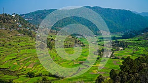 Step farming in mountain village Landscape view Nature Photography