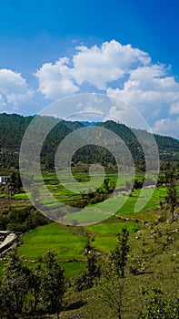 Step farming in mountain village Nature Photography, blueSky white clouds