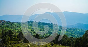 Step farming in mountain village portrait view Nature Photography