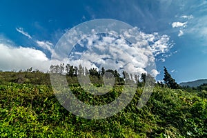 Fare un passo agricoltura montagne 