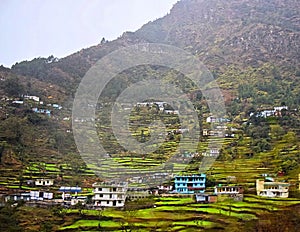 Step Farms among Himalayan Mountains - Landscape - Rural Agriculture - Village in Tehri Garhwal, Uttarakhand, India