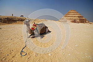 Step Pyramid of Djoser