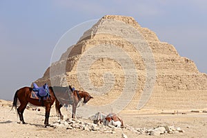 Step Pyramid of Djoser at Saqqara Egypt on a foggy morning