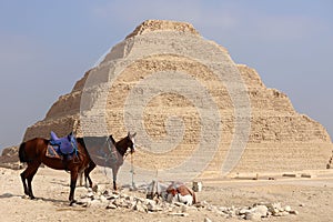 Step Pyramid of Djoser at Saqqara Egypt on a foggy morning