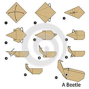 Step by step instructions how to make origami A Beetle