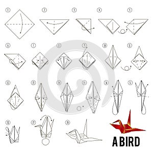 Step by step instructions how to make origami A Bird.