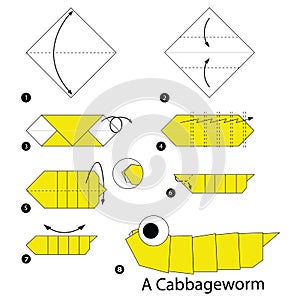 Step by step instructions how to make origami A Cabbage worm.