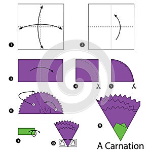 Step by step instructions how to make origami A Carnation.