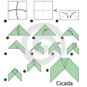 Step by step instructions how to make origami A Cicada.