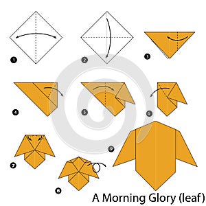 Step by step instructions how to make origami A Morning Glory.