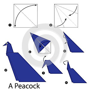 Step by step instructions how to make origami A Peacock.