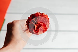 Step-by-step masterclass workshop. flowers from foamiran with your own hands Photos by stages of work. Carnation