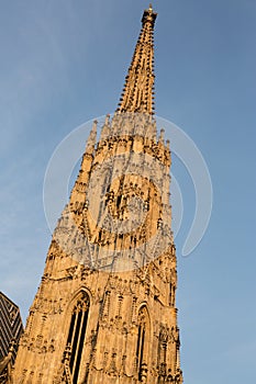 Stephansdom church in Vienna