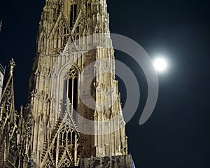 Stephansplatz at night photo